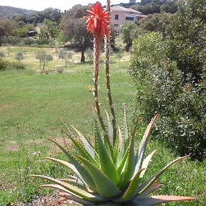 2* Pensión Valverde Di Naitana Rita